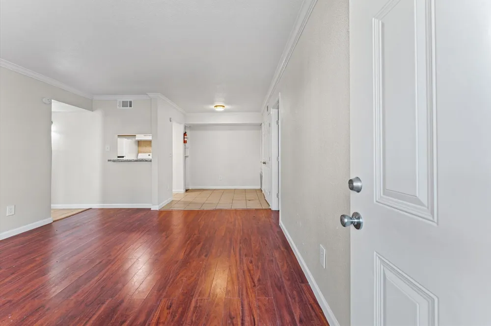 6161 Reims Road #802 Houston, TX 77036