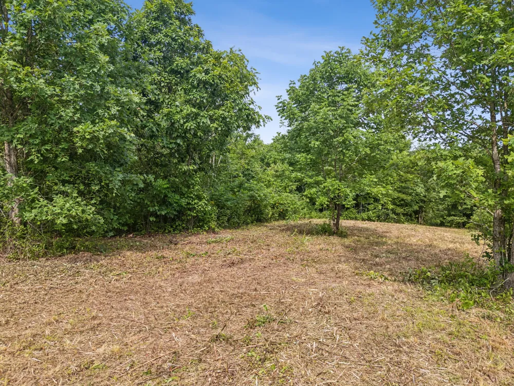 0 Bear Hollow Dr Waverly, TN 37185