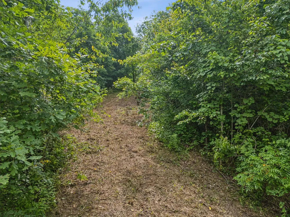 0 Bear Hollow Dr Waverly, TN 37185