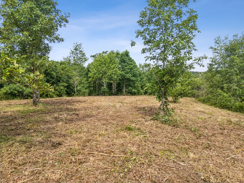 0 Bear Hollow Dr Waverly, TN 37185
