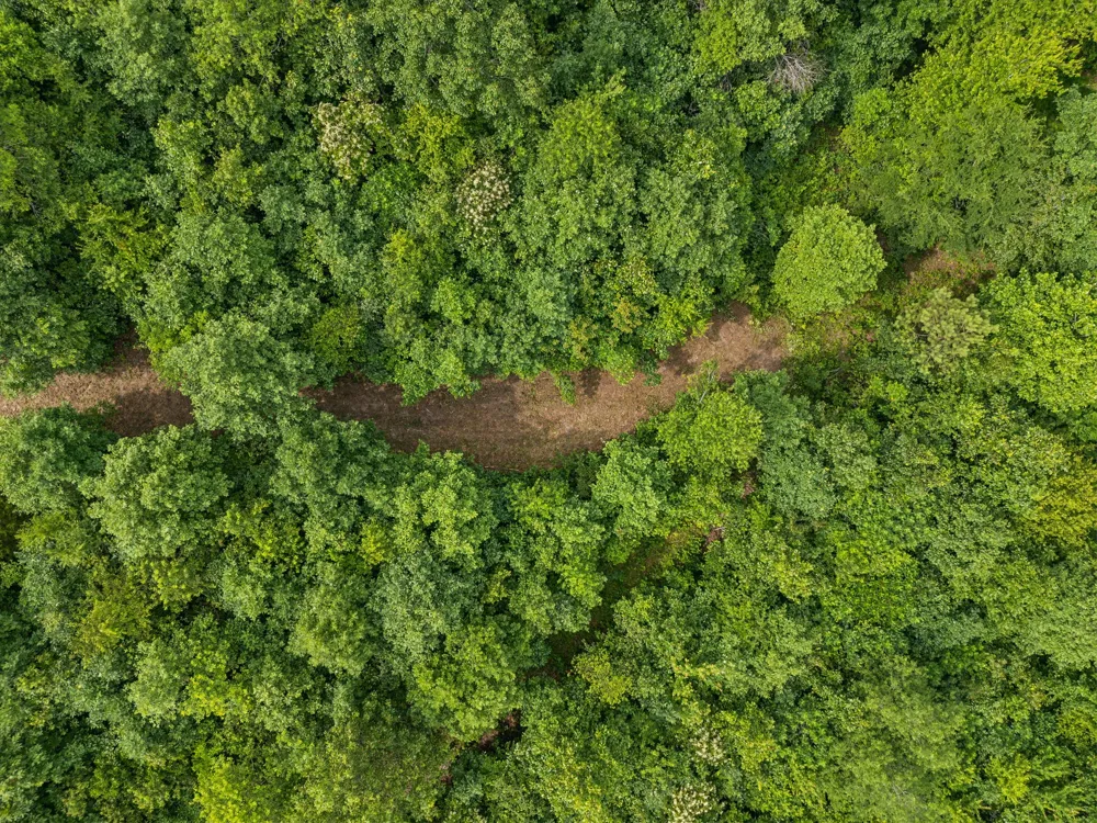 0 Bear Hollow Dr Waverly, TN 37185