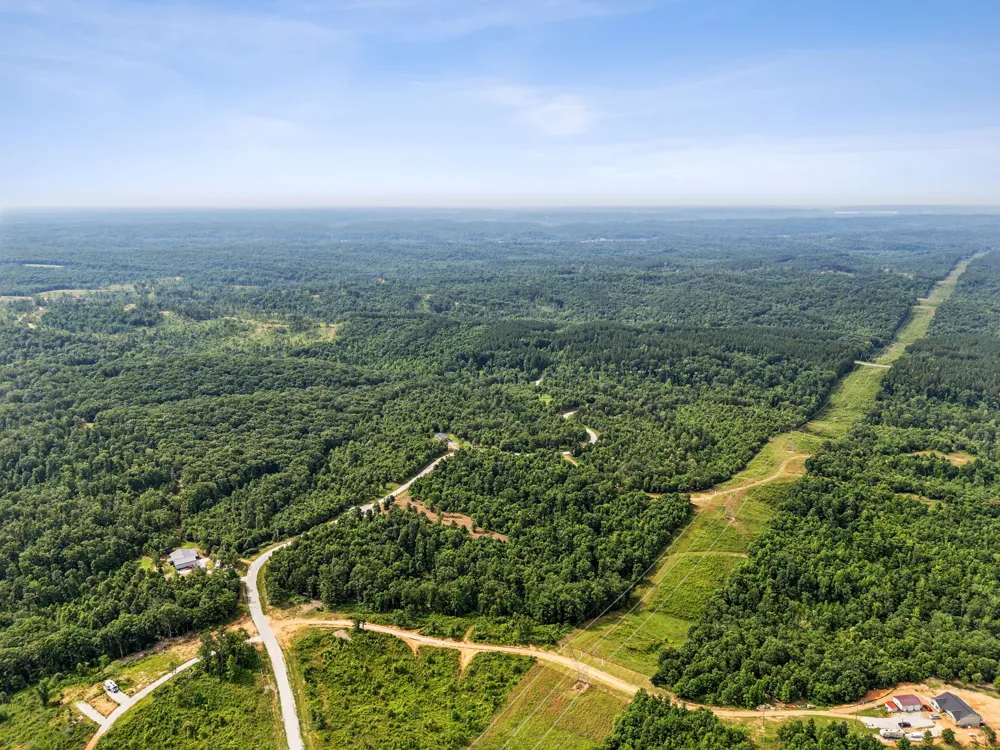 0 Bear Hollow Dr Waverly, TN 37185