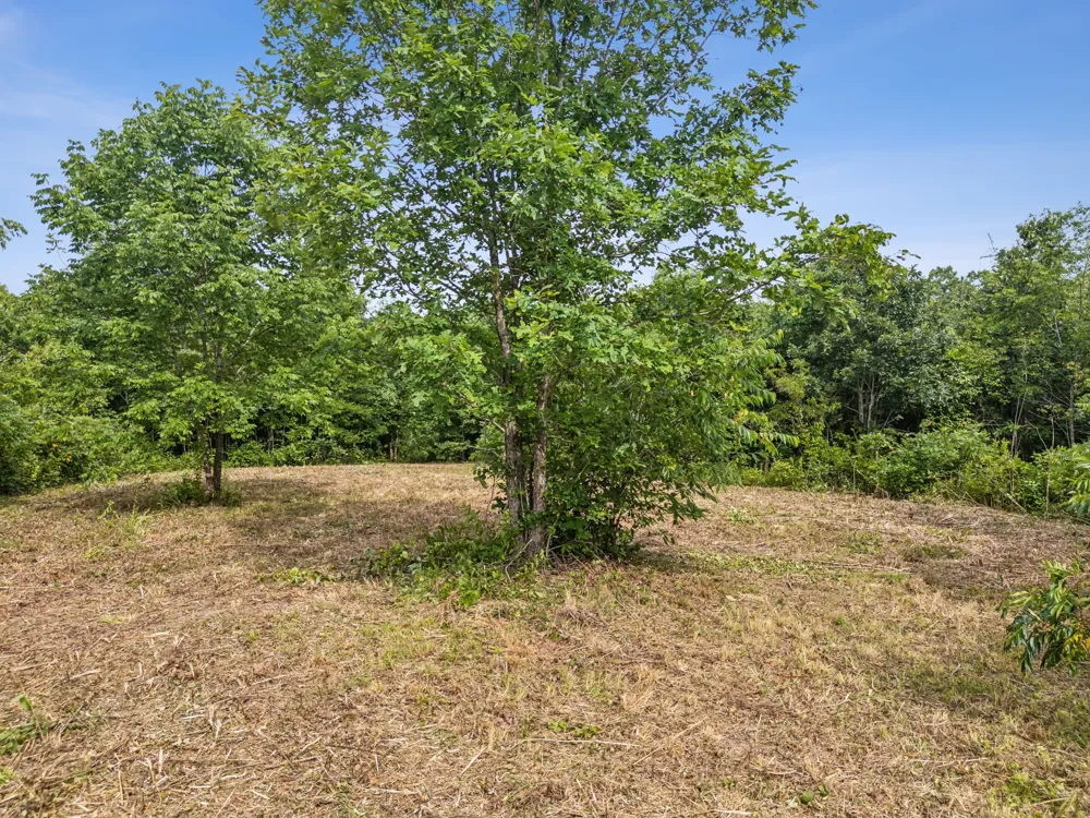 0 Bear Hollow Dr Waverly, TN 37185