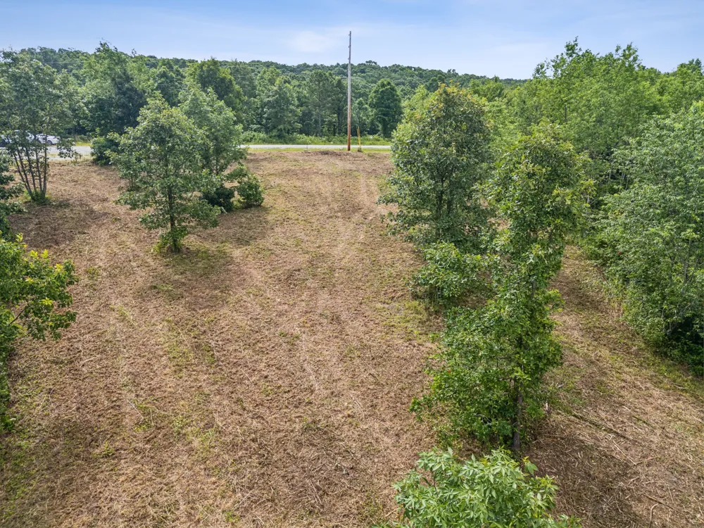 0 Bear Hollow Dr Waverly, TN 37185