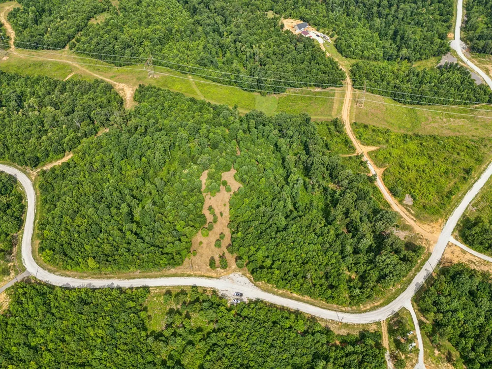 0 Bear Hollow Dr Waverly, TN 37185