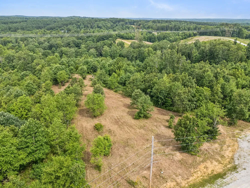 0 Bear Hollow Dr Waverly, TN 37185