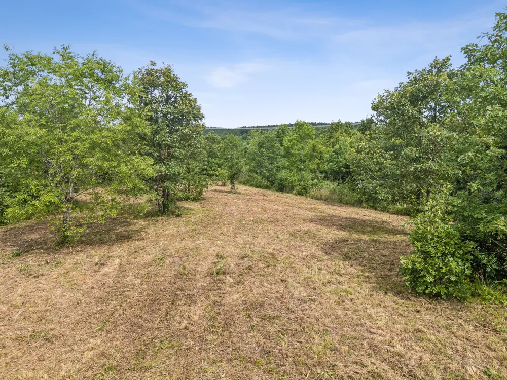 0 Bear Hollow Dr Waverly, TN 37185