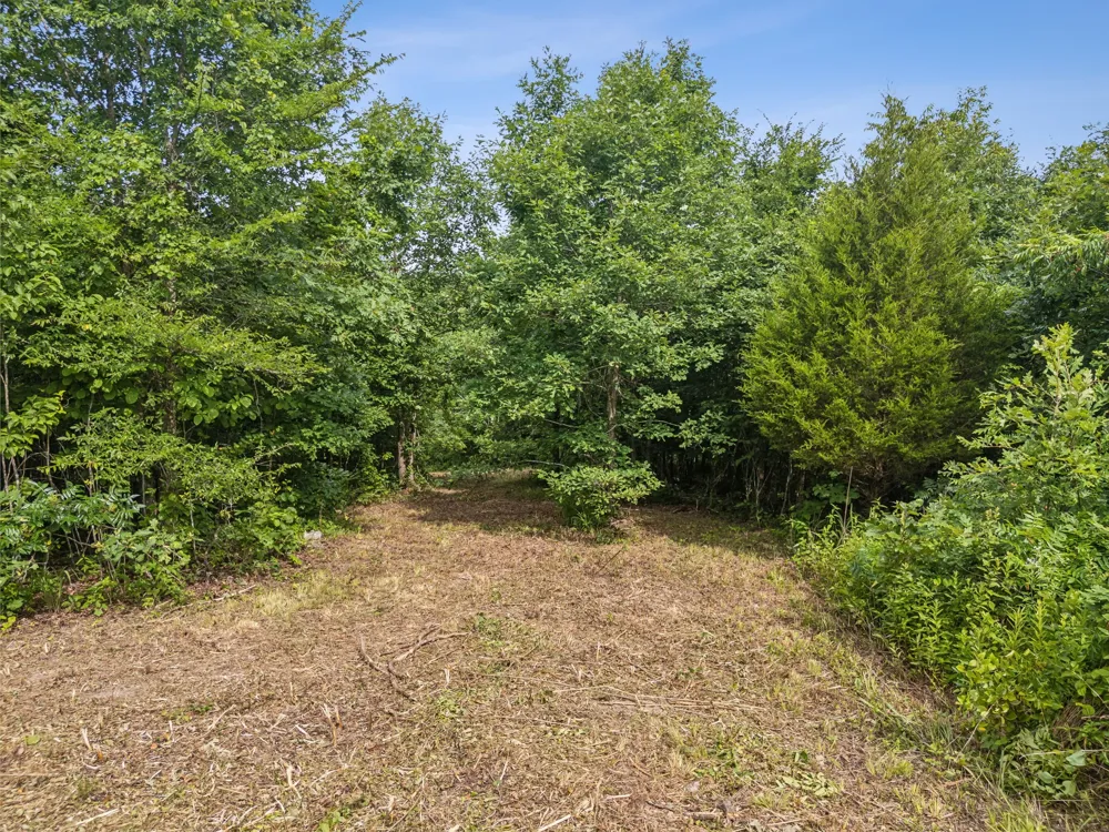 0 Bear Hollow Dr Waverly, TN 37185