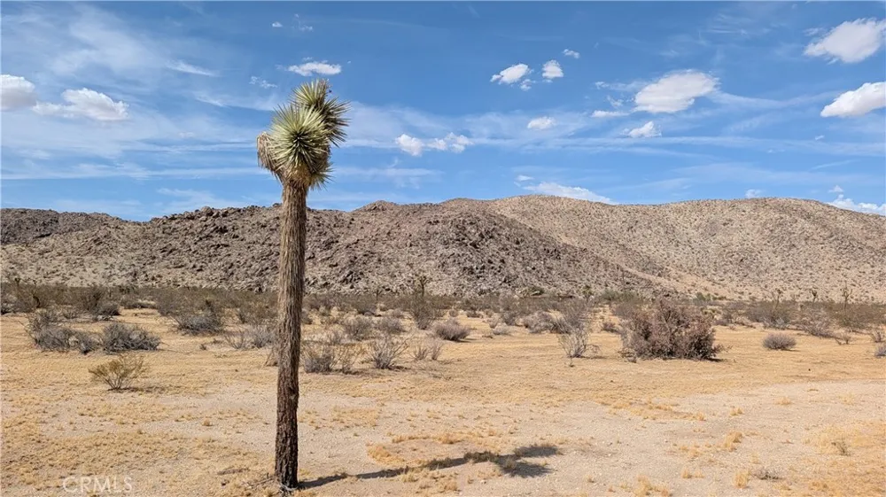 5940 Antelope Joshua Tree, CA 92252
