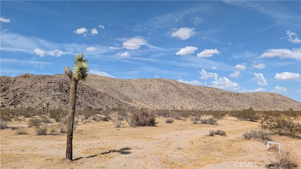 5940 Antelope Joshua Tree, CA 92252