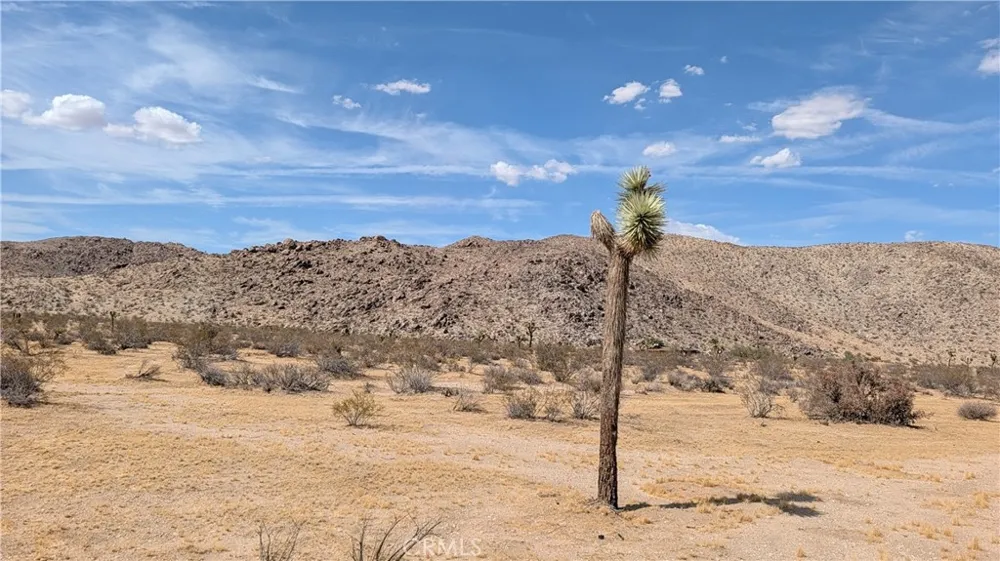 5940 Antelope Joshua Tree, CA 92252