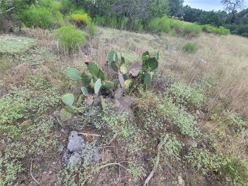 1611 Lake Ridge Drive Canyon Lake, TX 78133