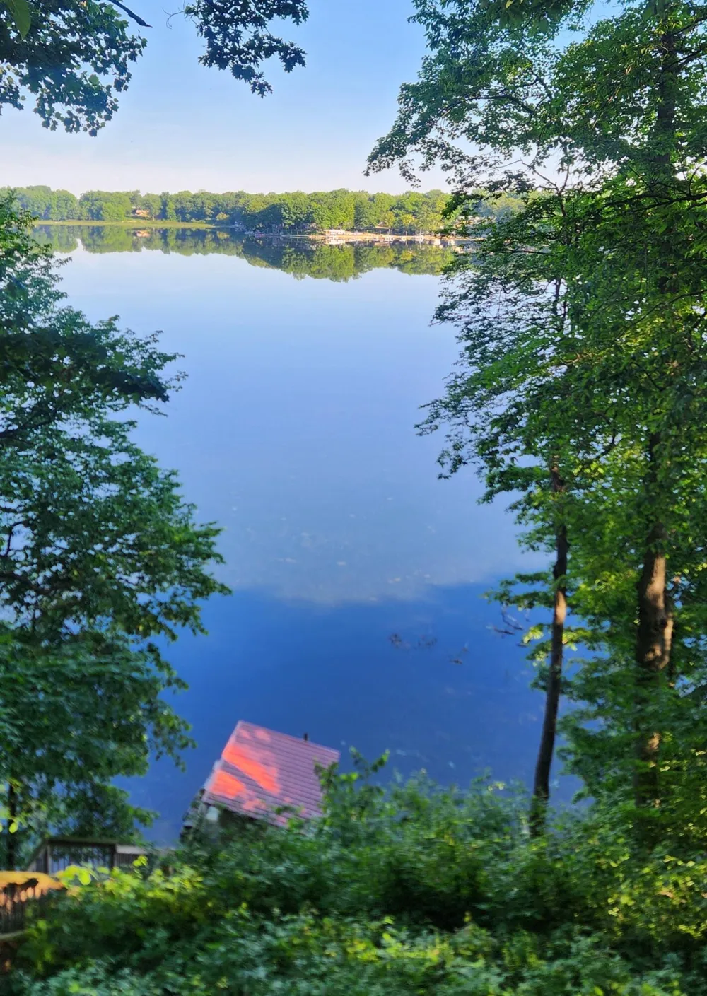62360 Cond Drive Jones, MI 49061