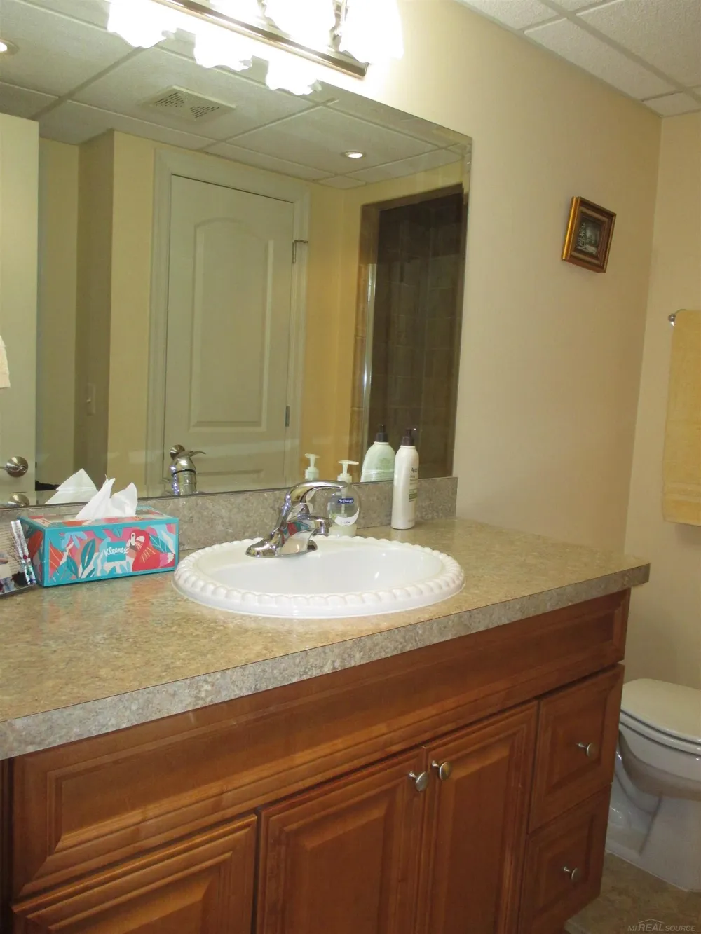 49272 Brodie Court Macomb Township, MI 48042