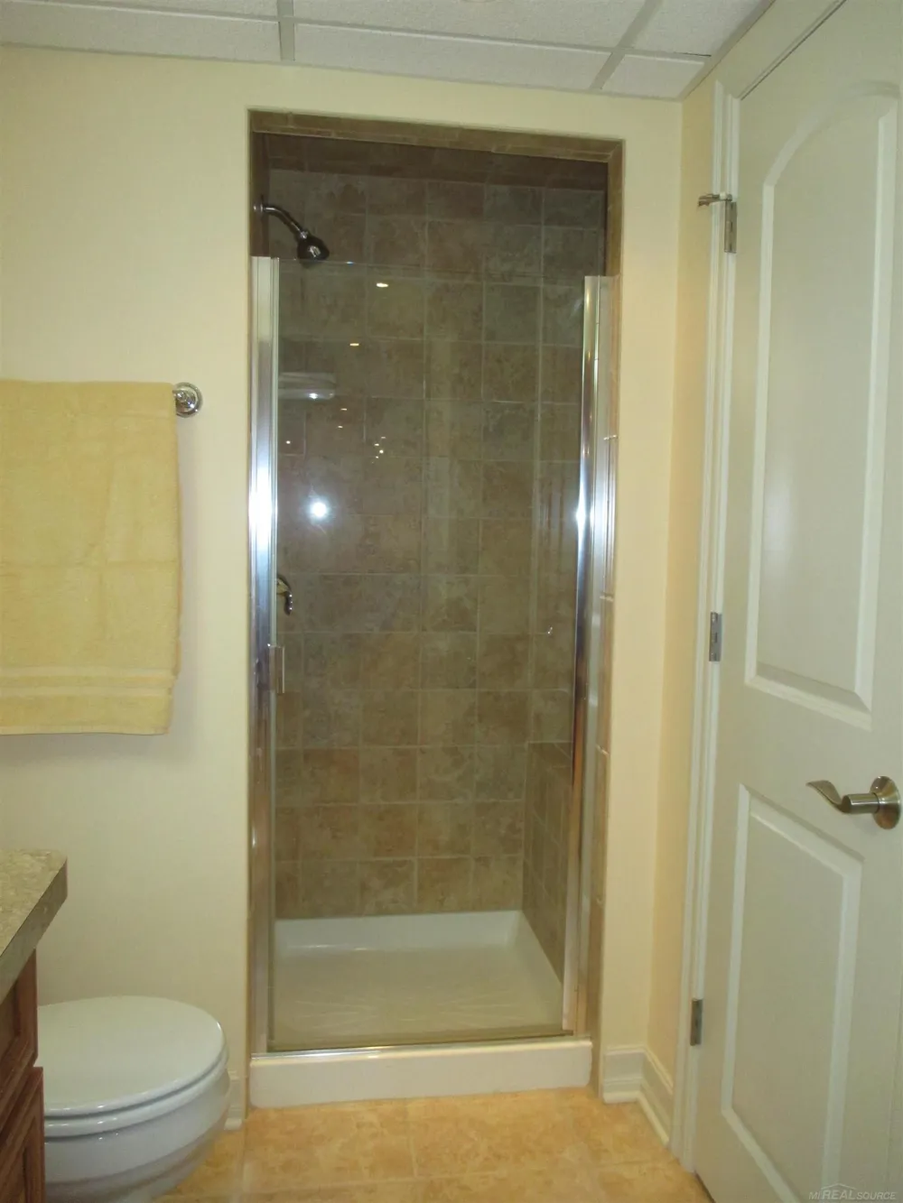49272 Brodie Court Macomb Township, MI 48042
