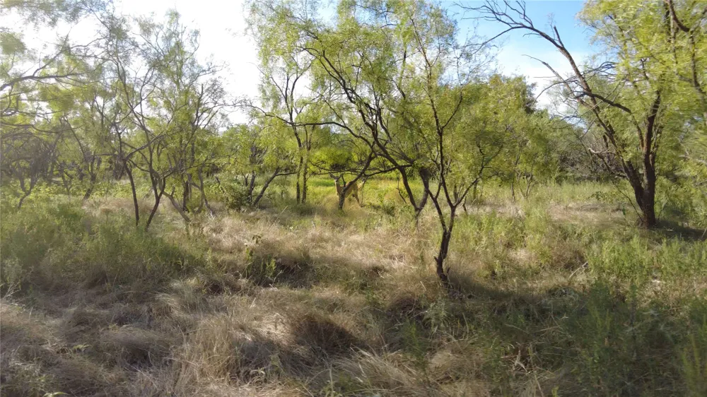 County Rd 103 Caddo, TX 76429