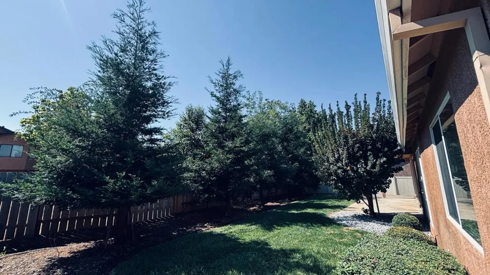 2177 Cadjew Street Redding, CA 96003