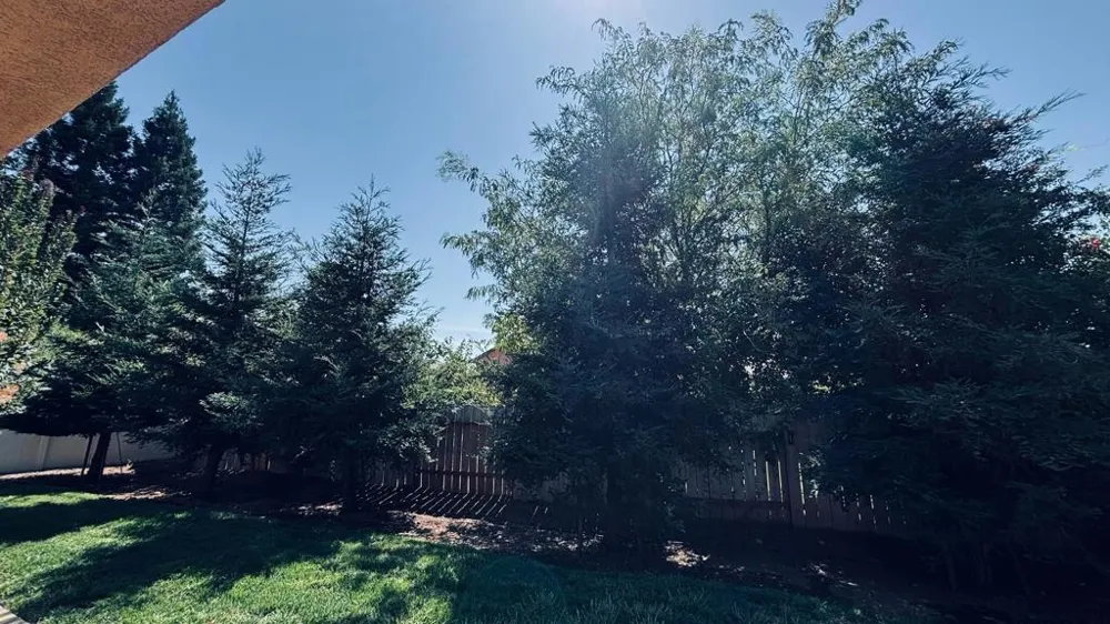 2177 Cadjew Street Redding, CA 96003
