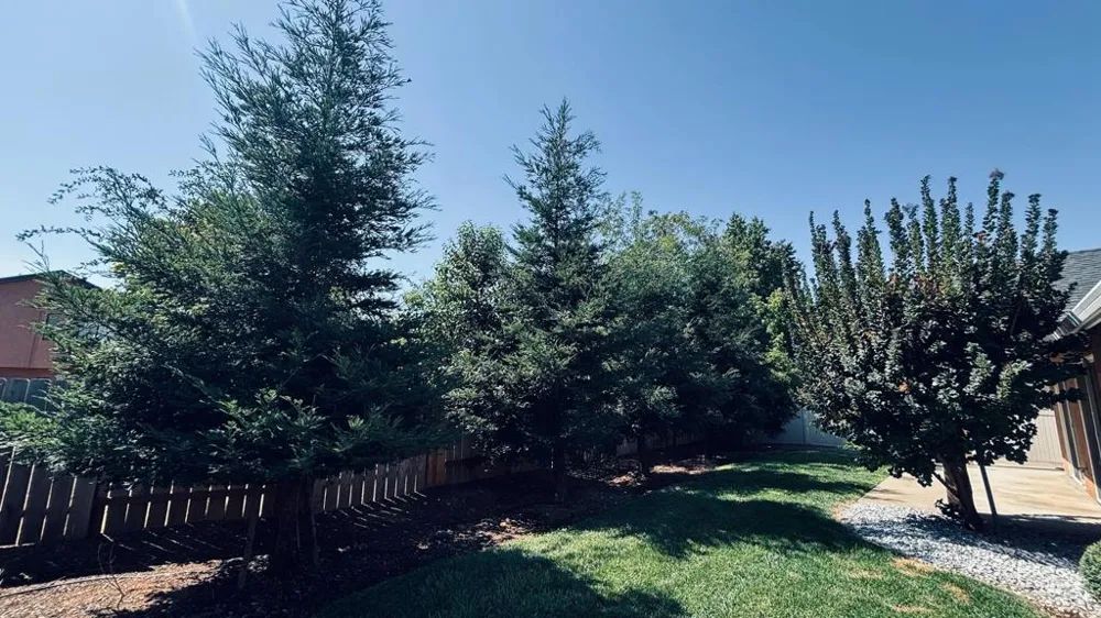 2177 Cadjew Street Redding, CA 96003