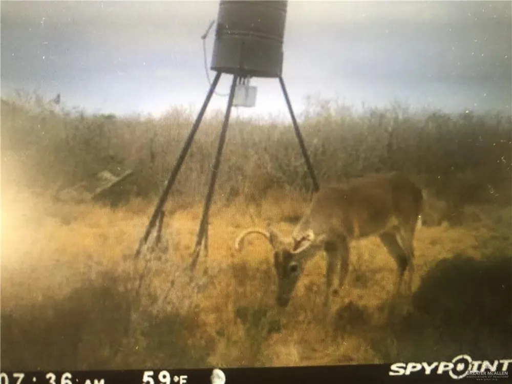 00 Frontier Drive Freer, TX 78537