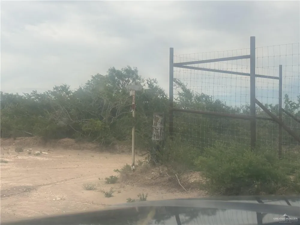 00 Frontier Drive Freer, TX 78537
