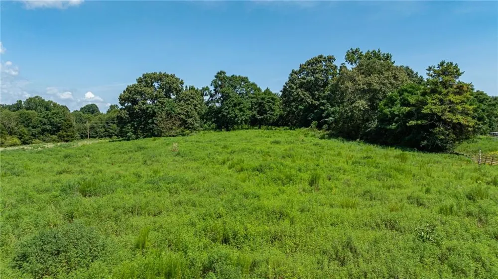 0 Careytown Road Royston, GA 30662