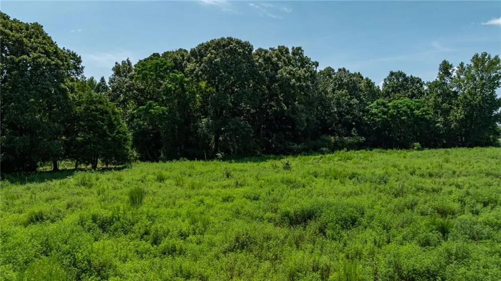 0 Careytown Road Royston, GA 30662