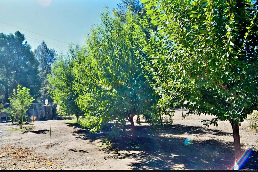 7656 Pine Blvd Pine Valley, CA 91962