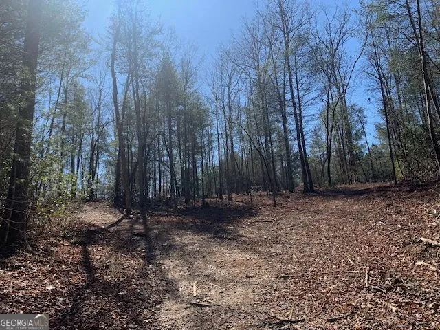 0 East New Hope RD Ellijay, GA 30536