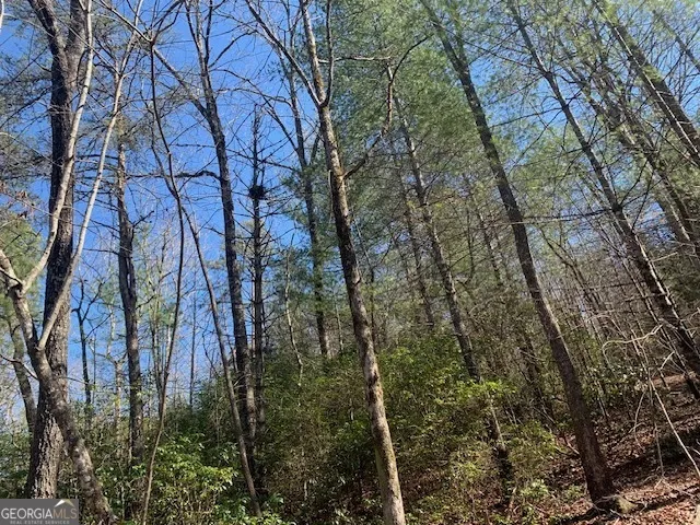 0 East New Hope RD Ellijay, GA 30536