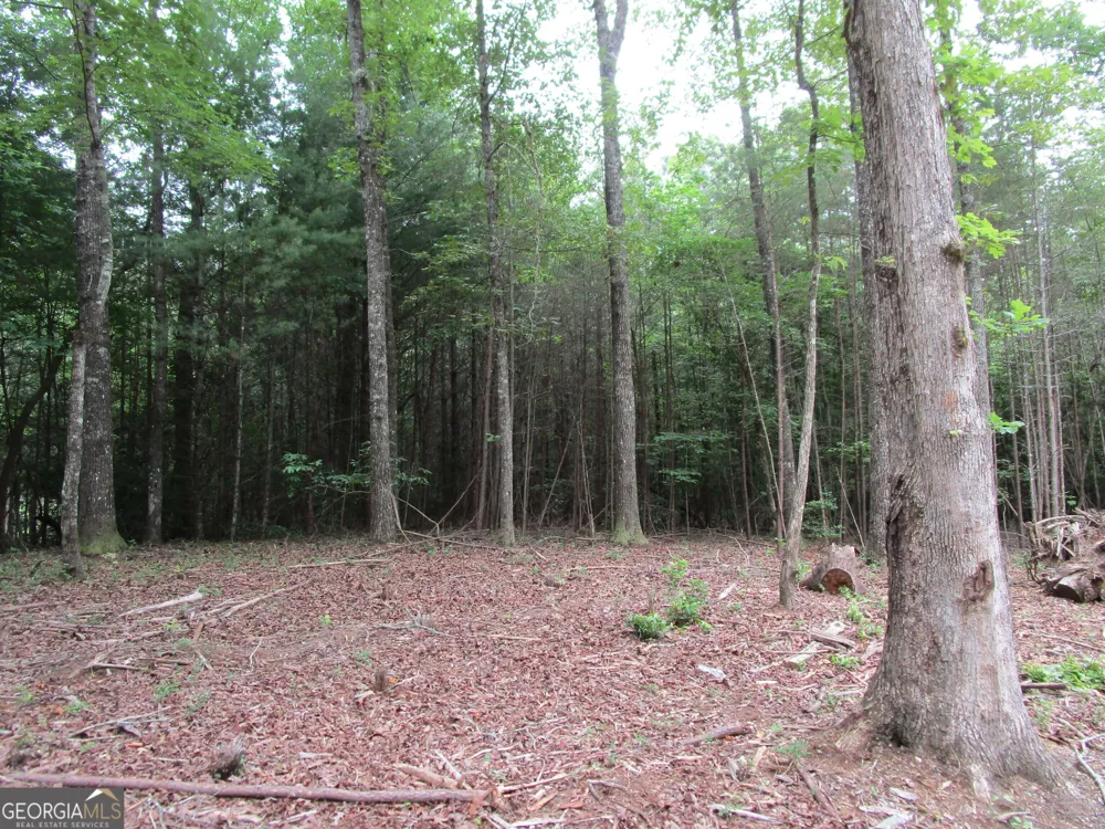0 East New Hope RD Ellijay, GA 30536
