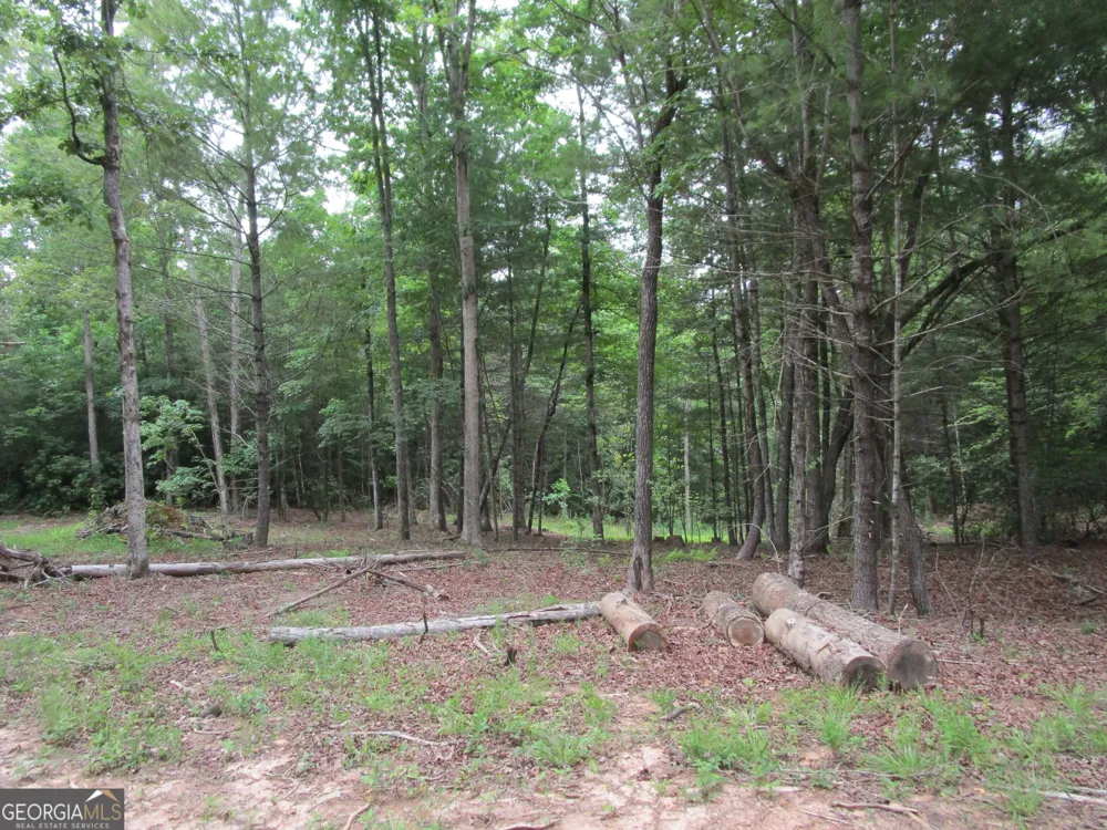 0 East New Hope RD Ellijay, GA 30536