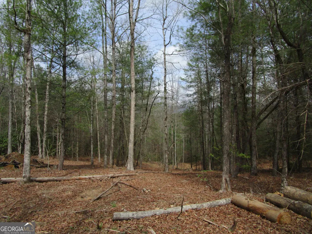 0 East New Hope RD Ellijay, GA 30536