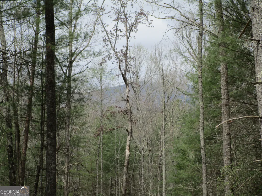 0 East New Hope RD Ellijay, GA 30536