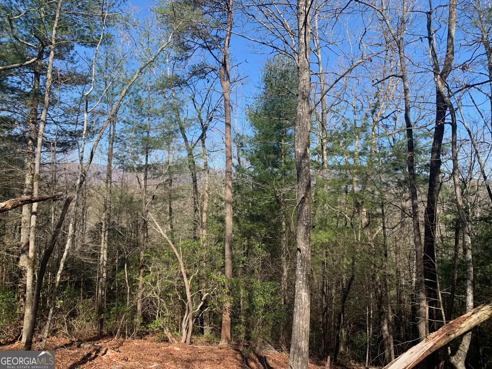 0 East New Hope RD Ellijay, GA 30536