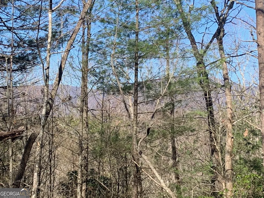 0 East New Hope RD Ellijay, GA 30536