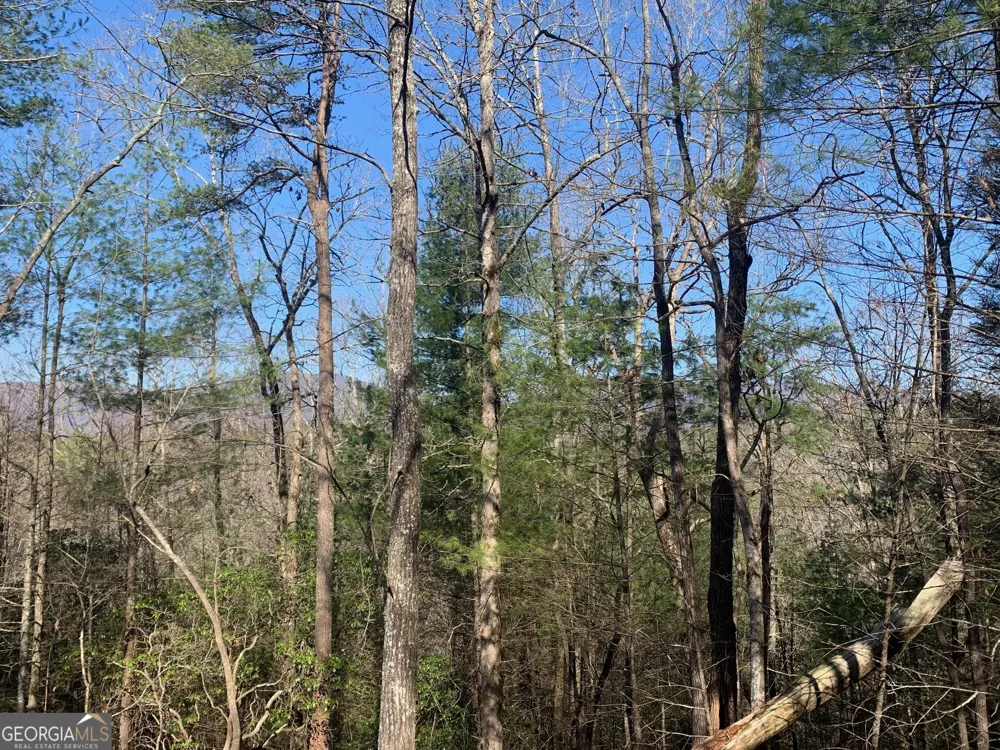 0 East New Hope RD Ellijay, GA 30536