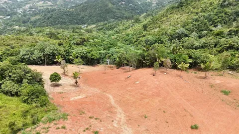 PR 770 KM 2.9 PARCELA 3 PALO HINCADO