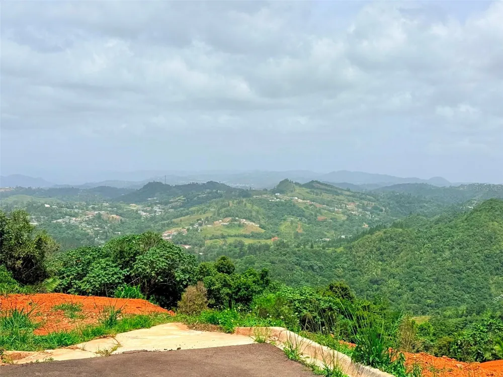 PR 770 KM 2.9 PARCELA 3 PALO HINCADO Barranquitas, PR 00794