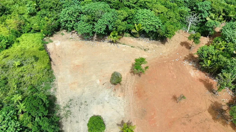 PR 770 KM 2.9 PARCELA 3 PALO HINCADO Barranquitas, PR 00794