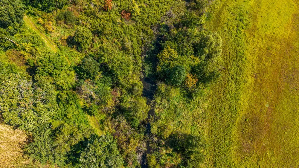 13676 US-12 Brooklyn, MI 49230