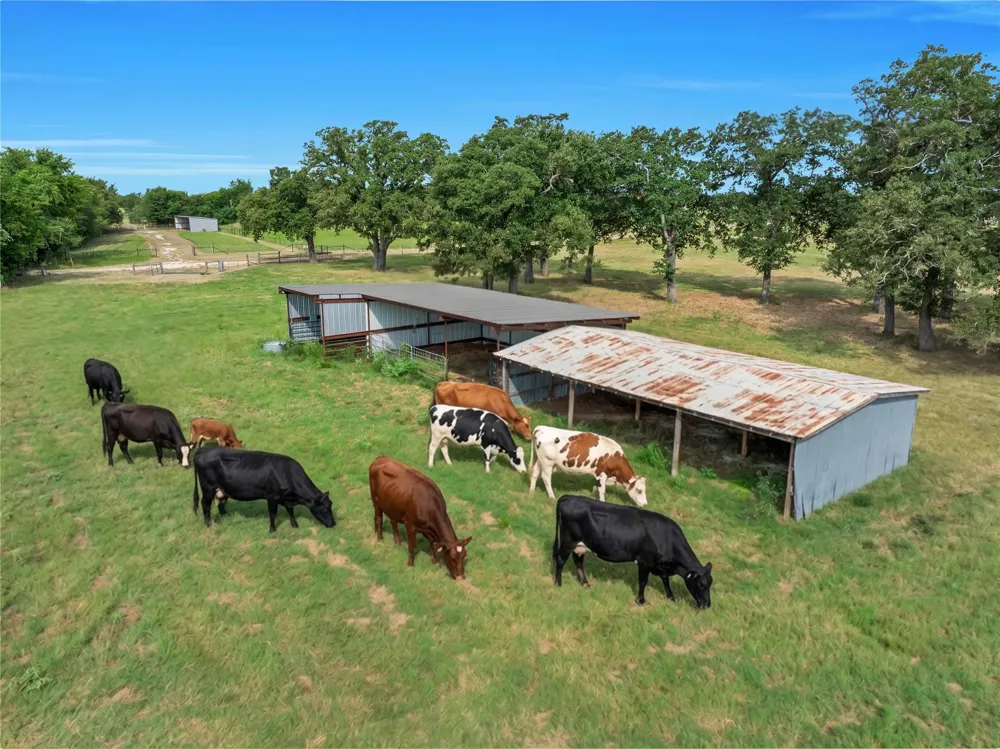 432 Fm 1953 Groesbeck, TX 76642