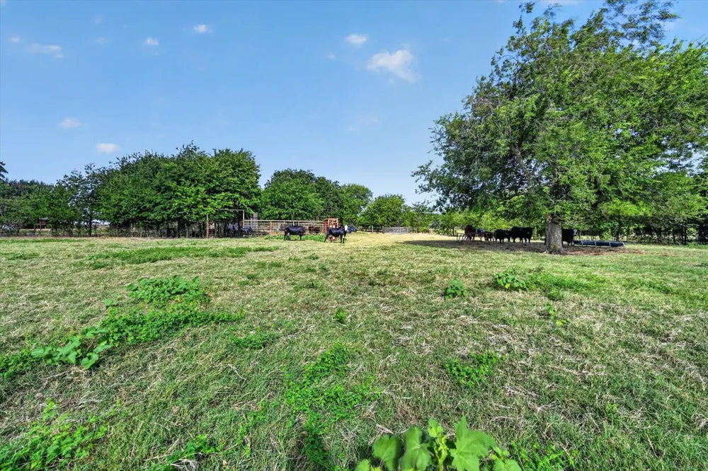 401 Dale Acres Road Italy, TX 76651