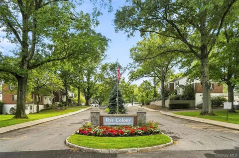 3 Peck Avenue #311A