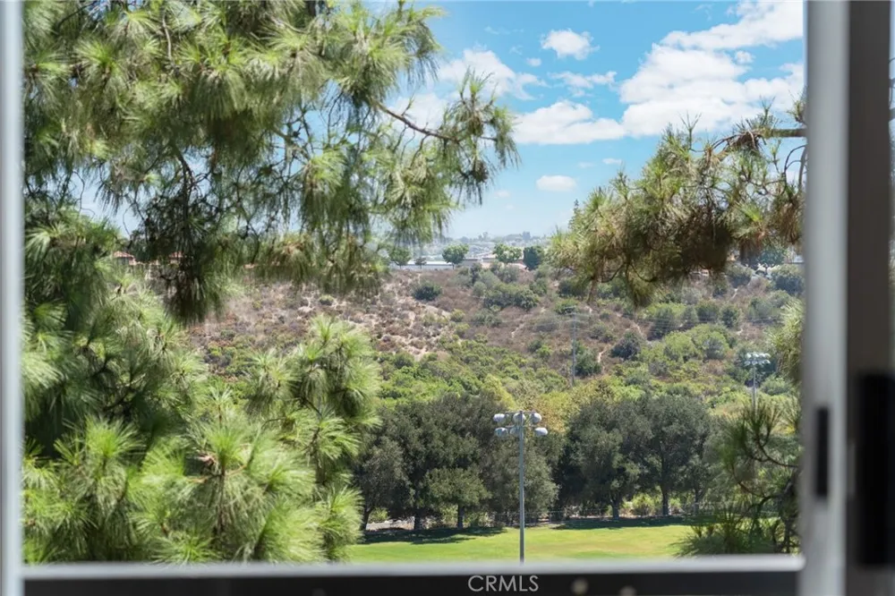 84 Hawaii Drive Aliso Viejo, CA 92656