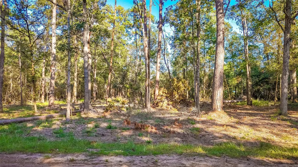 Summer Place Livingston, TX 77351
