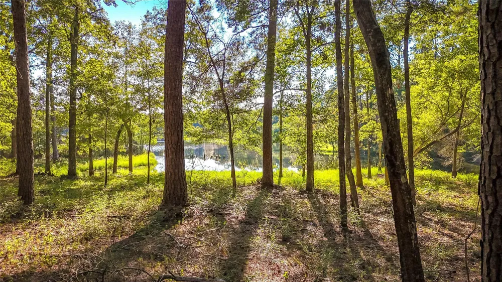 Summer Place Livingston, TX 77351