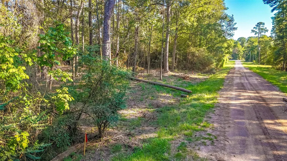 Summer Place Livingston, TX 77351