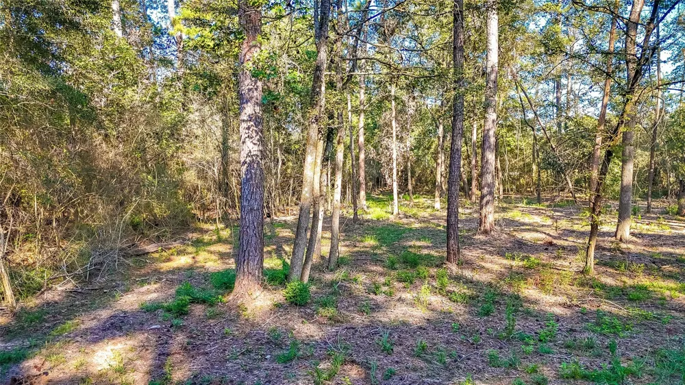 Summer Place Livingston, TX 77351