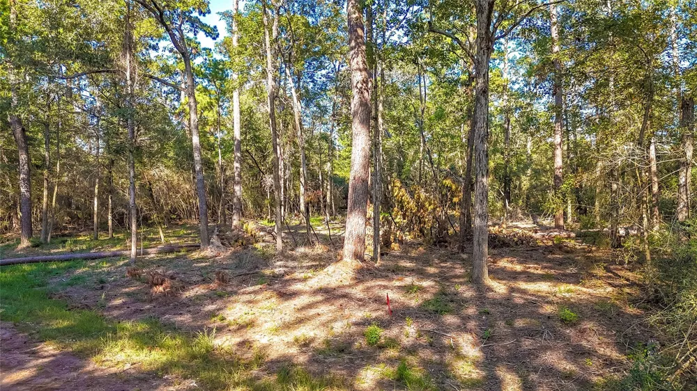 Summer Place Livingston, TX 77351